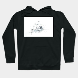 Sleeping Snow Bear Hoodie